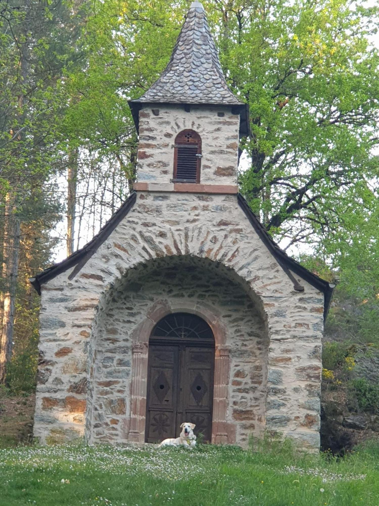 Conques-en-Rouergue Aux Gorges Du Dourdou酒店 外观 照片